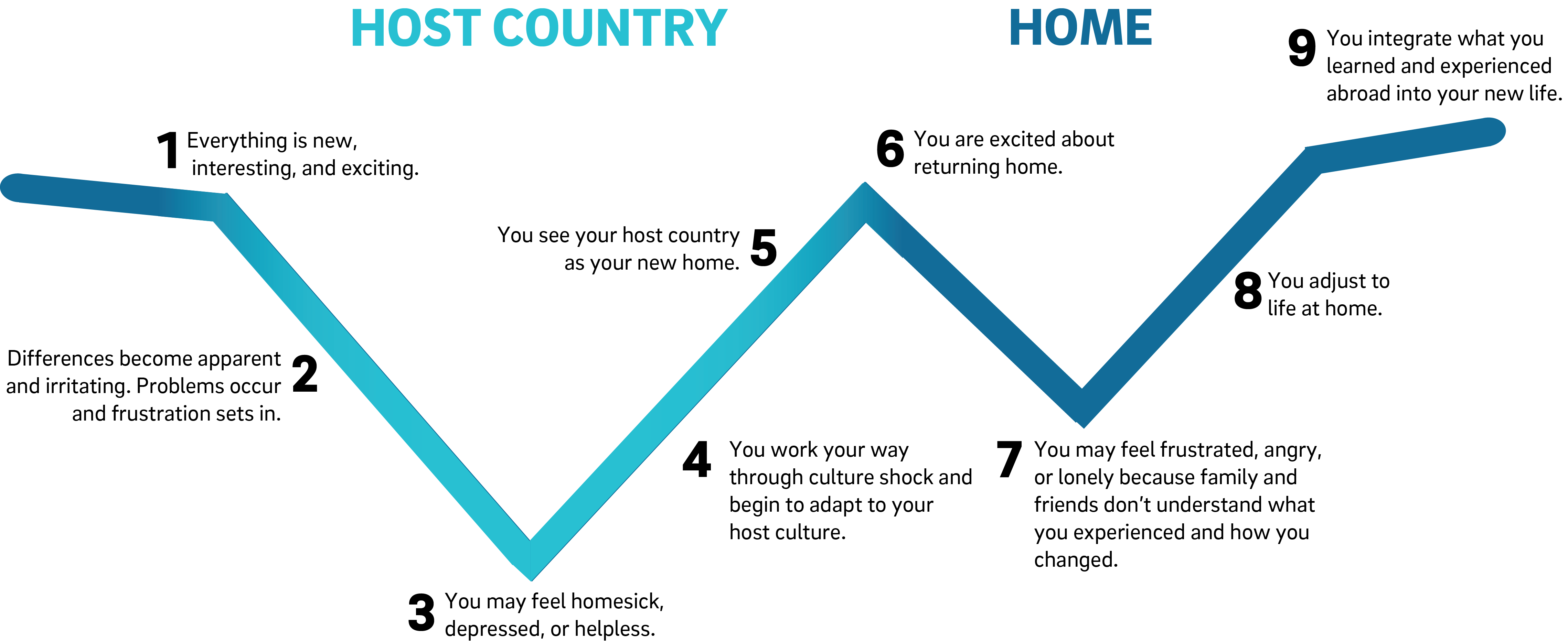 culture shock graph